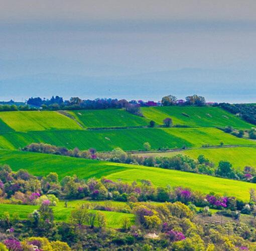 فندق 3 Hills Boutique - The Ranch Experience Trilofos المظهر الخارجي الصورة
